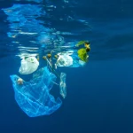 Microplastics: It All Comes Out in the Wash Debris3 150x150
