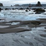 Sea Level Trends OLYM LowTide SeaStacks Crop 1 150x150