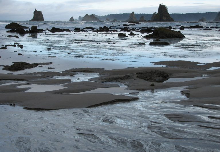 OLYM LowTide SeaStacks Crop 1 768x532