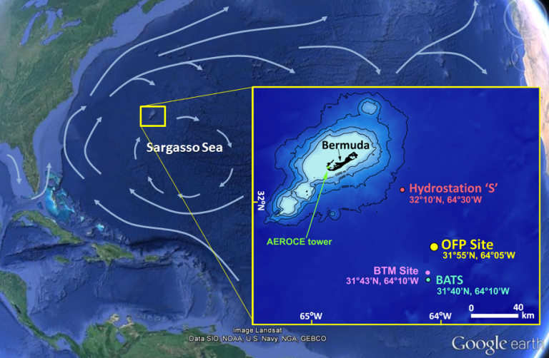 OFPSiteMap 2022b 768x502