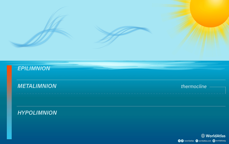 Screenshot 2025 09 30 At 5 05 46 Pm S3cdn 768x484