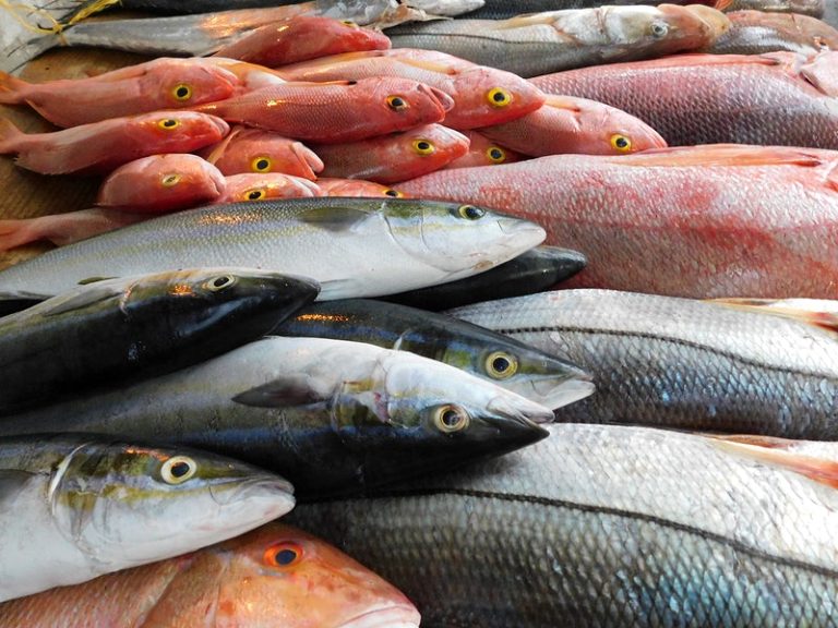 Seafood 768x576